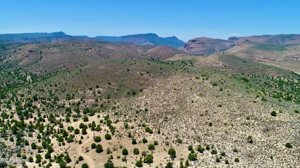a view of a dry yard with mountain