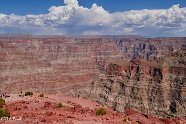 a view of a dry yard with mountains in the background