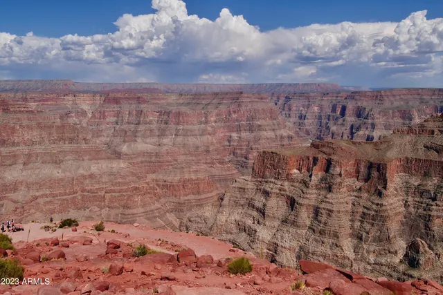 a view of a dry yard with mountains in the background