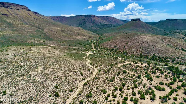 a view of a yard with a garden