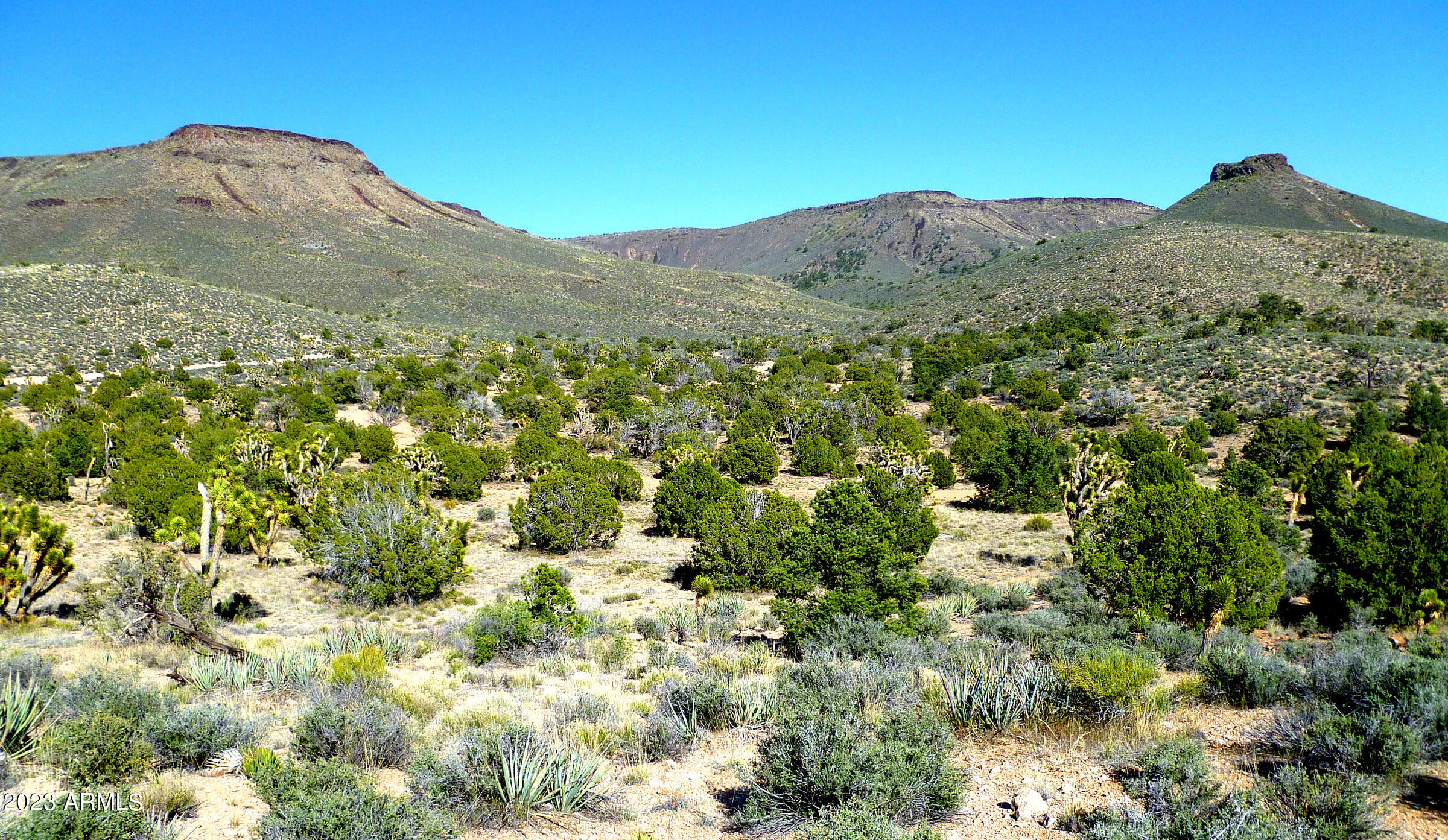5838 East Diamond Bar Road Meadview, AZ 86444 - Photo 7 of 26 a view of a large mountain with a mountain in the background