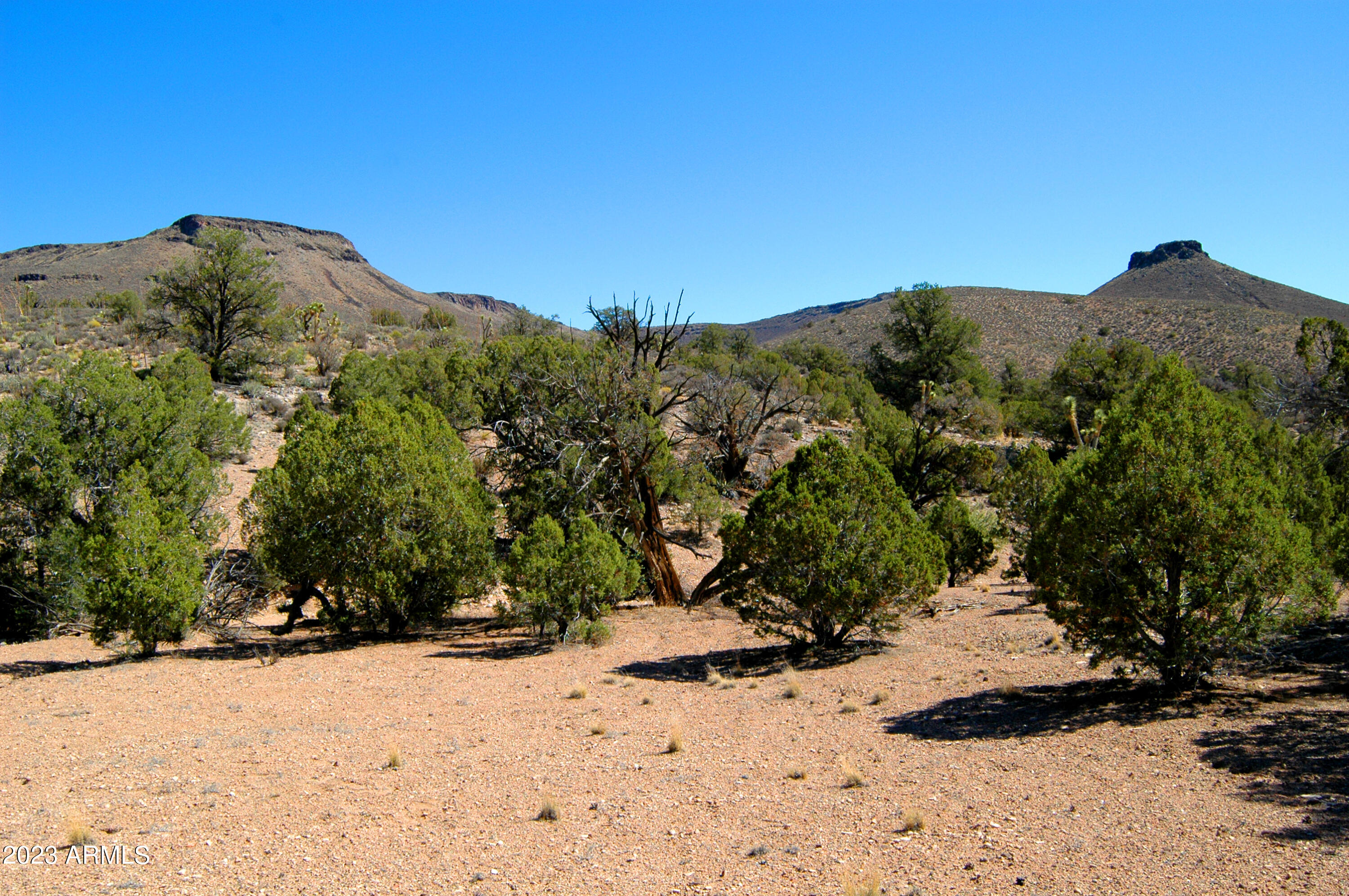 5838 East Diamond Bar Road Meadview, AZ 86444 - Photo 9 of 26 a view of a dry yard with a tree