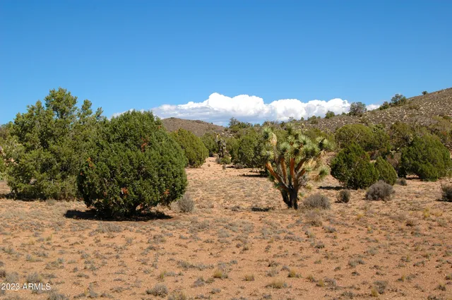 a view of outdoor space with trees all around