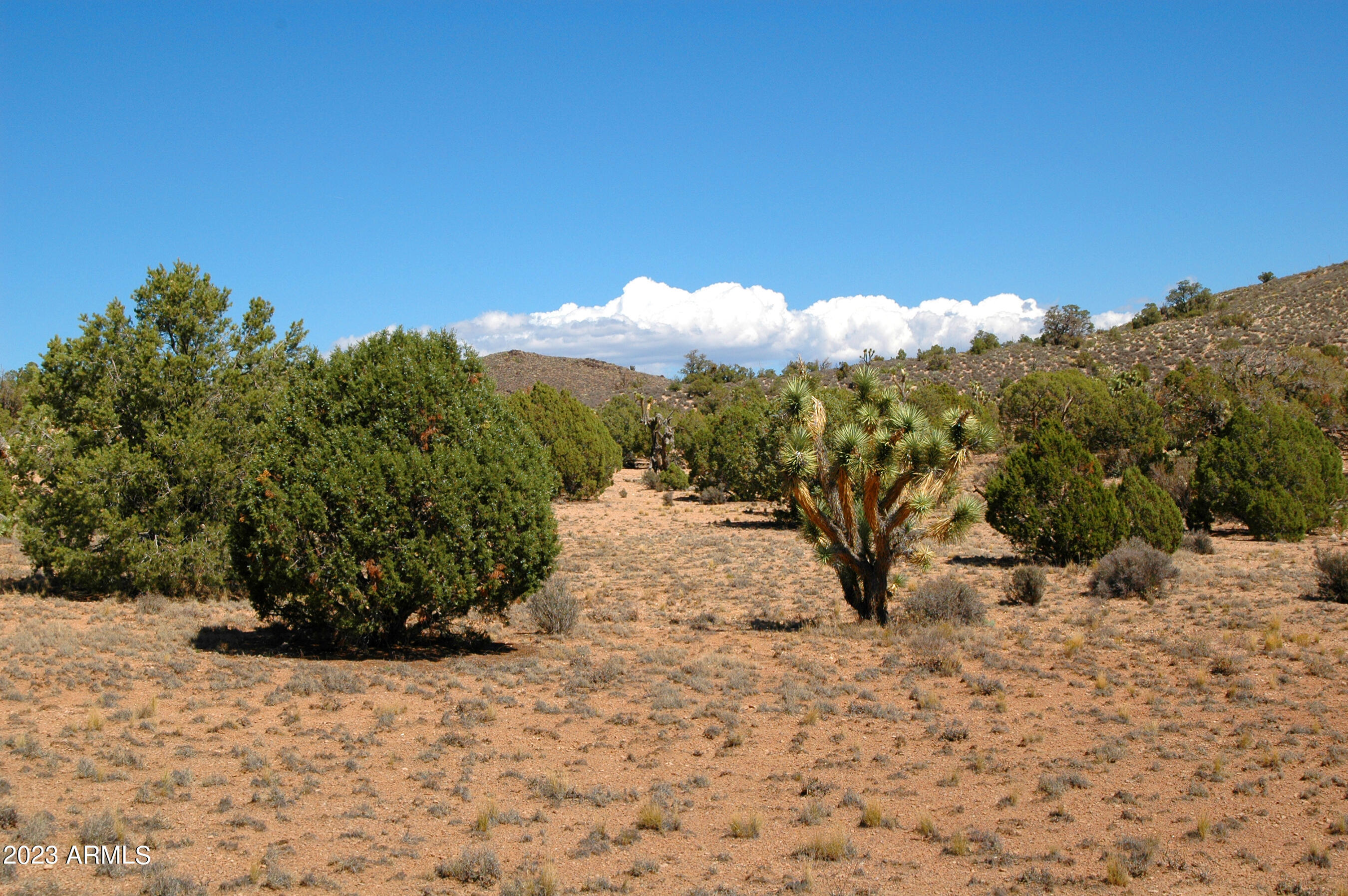 5838 East Diamond Bar Road Meadview, AZ 86444 - Photo 10 of 26