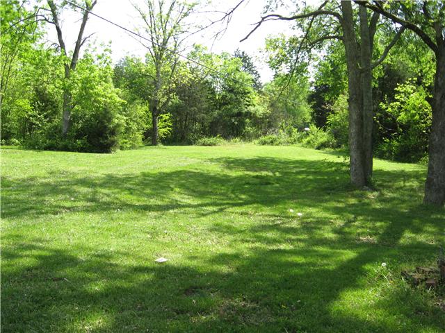 5142 Will Brown Road Spring Hill, TN 37174 - Photo 3 of 8 Beautiful view of park like yard!