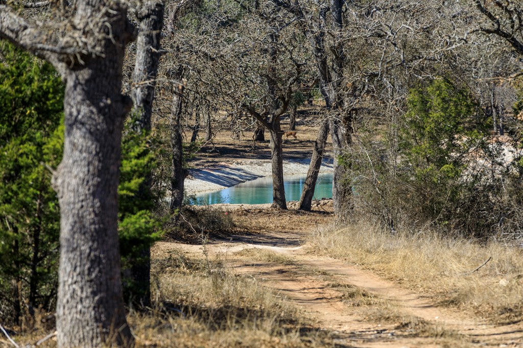 0 Herber-Schaefer Road Fredericksburg, TX 78624 - Photo 2 of 8