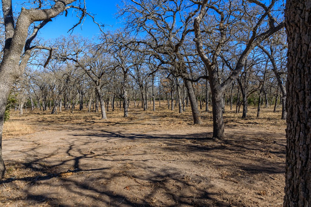0 Herber-Schaefer Road Fredericksburg, TX 78624 - Photo 4 of 8
