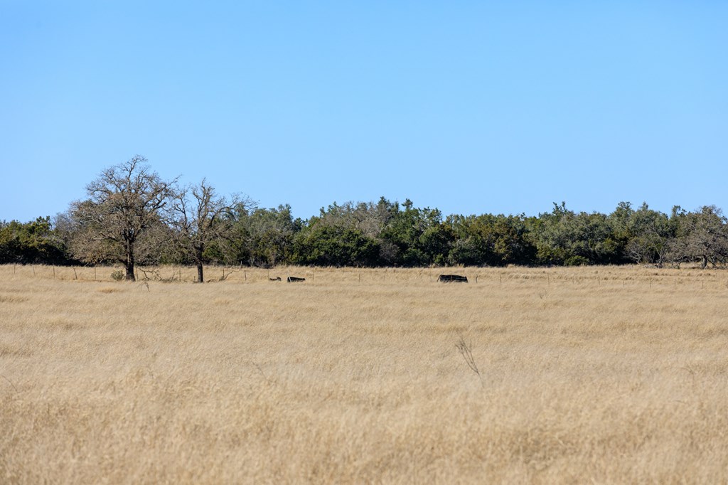 0 Herber-Schaefer Road Fredericksburg, TX 78624 - Photo 5 of 8