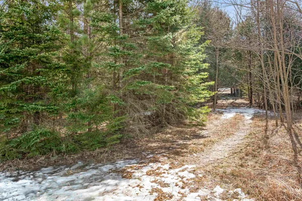 $29,900 | Bolen Lane, Stephenson, MI 49887