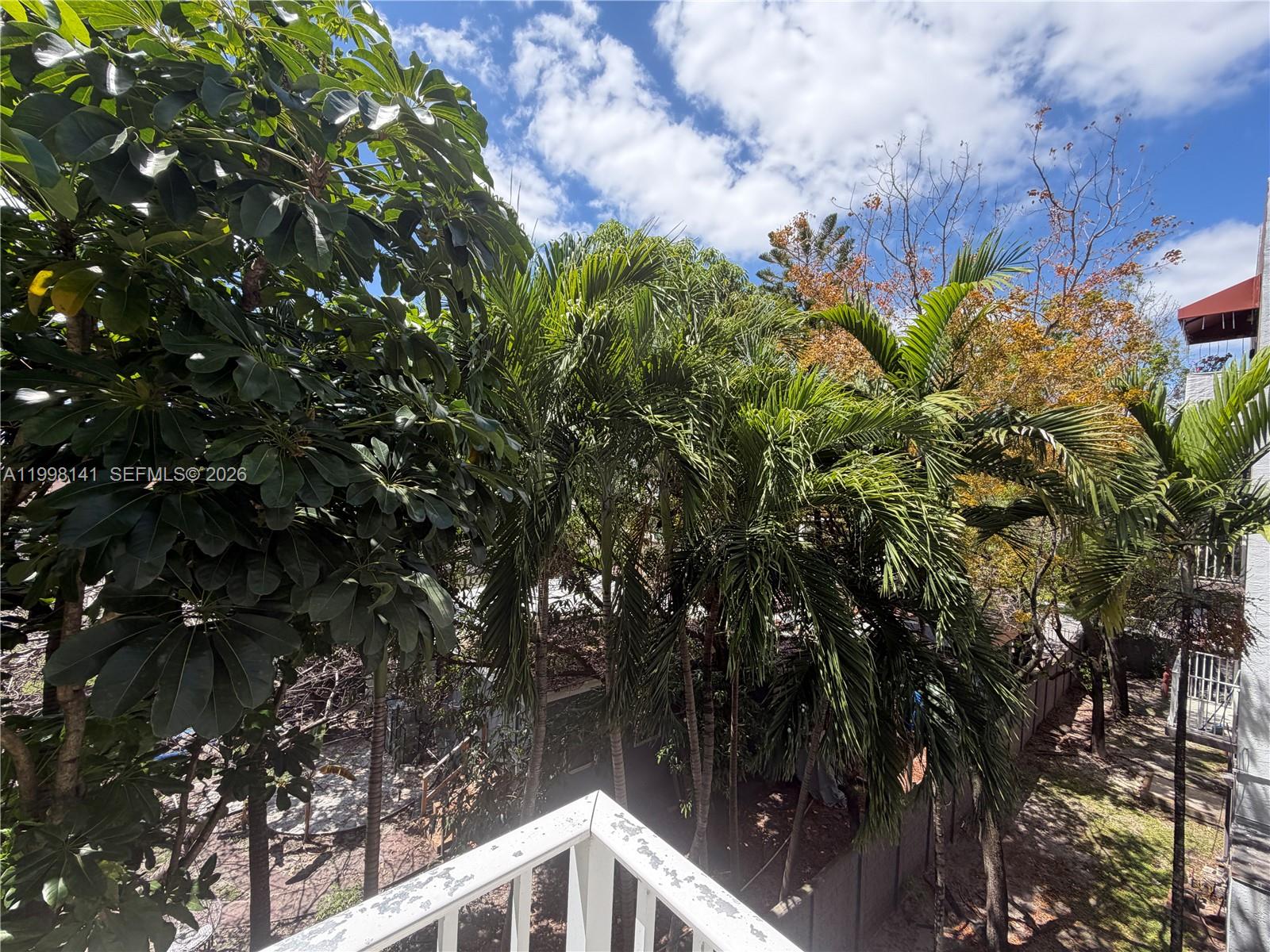 2536 Northwest 24th Street, Unit 3F Miami, FL 33142 - Photo 10 of 17 a backyard of a house with lots of green space
