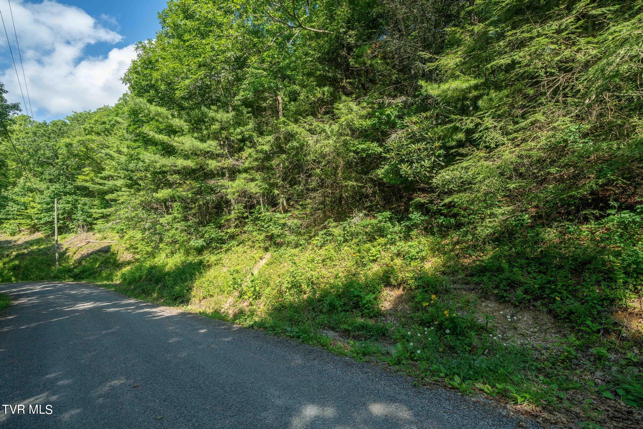 Tbd Stone Mountain Road Trade, TN 37691 - Photo 15 of 21 TBD Stone Mountain Road (19 of 25)