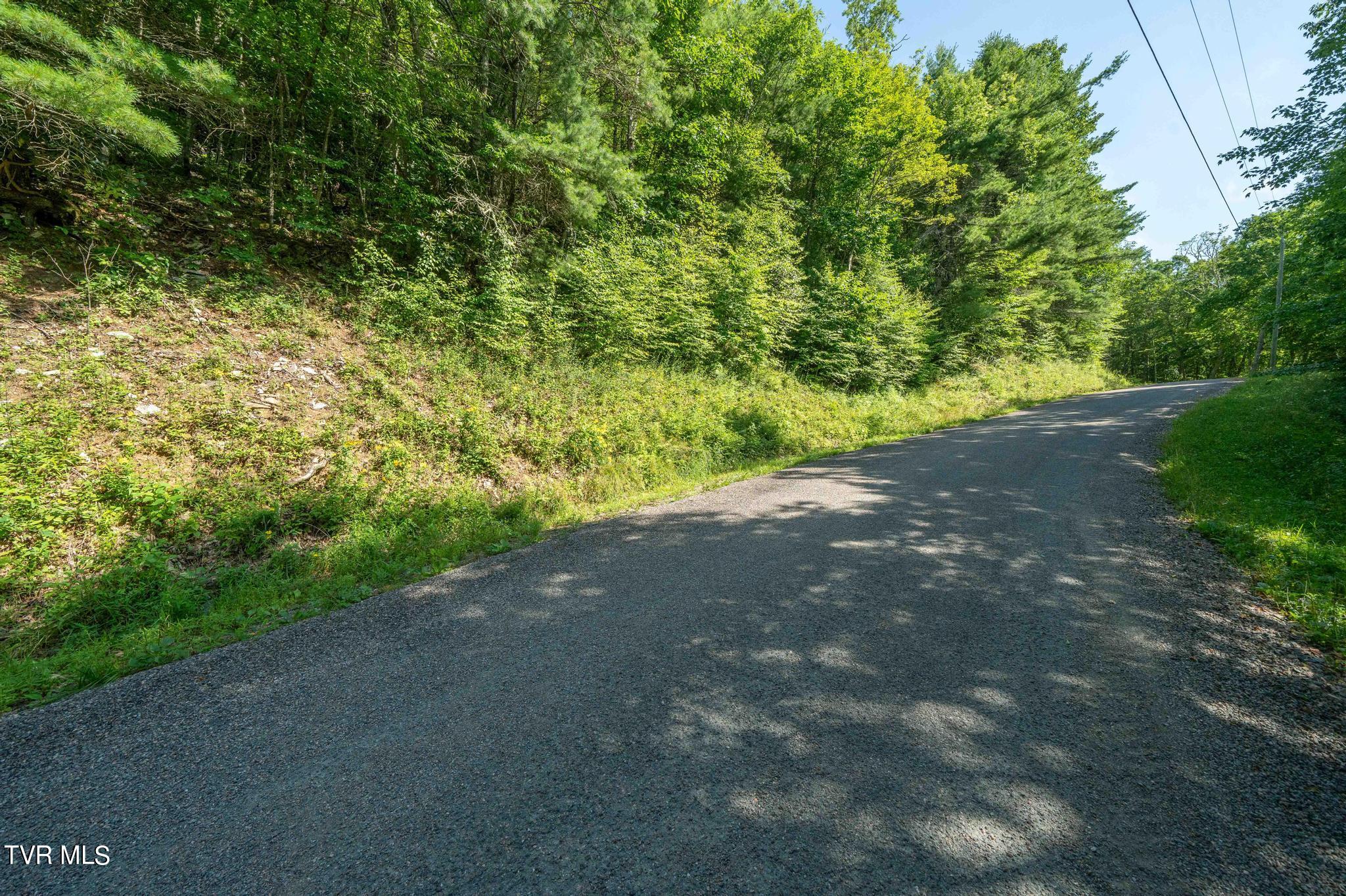 Tbd Stone Mountain Road Trade, TN 37691 - Photo 20 of 21 TBD Stone Mountain Road (24 of 25)