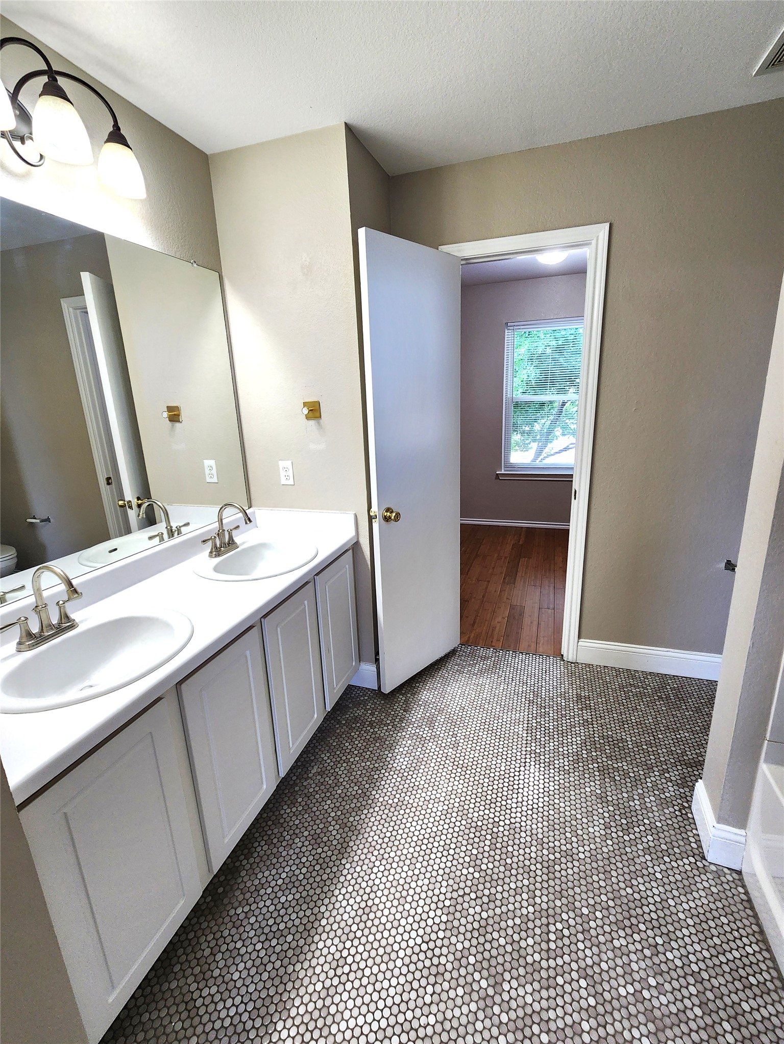 933 Meadow Ridge Loop Georgetown, TX 78626 - Photo 19 of 28 a bathroom with a double vanity sink a mirror and a bathtub