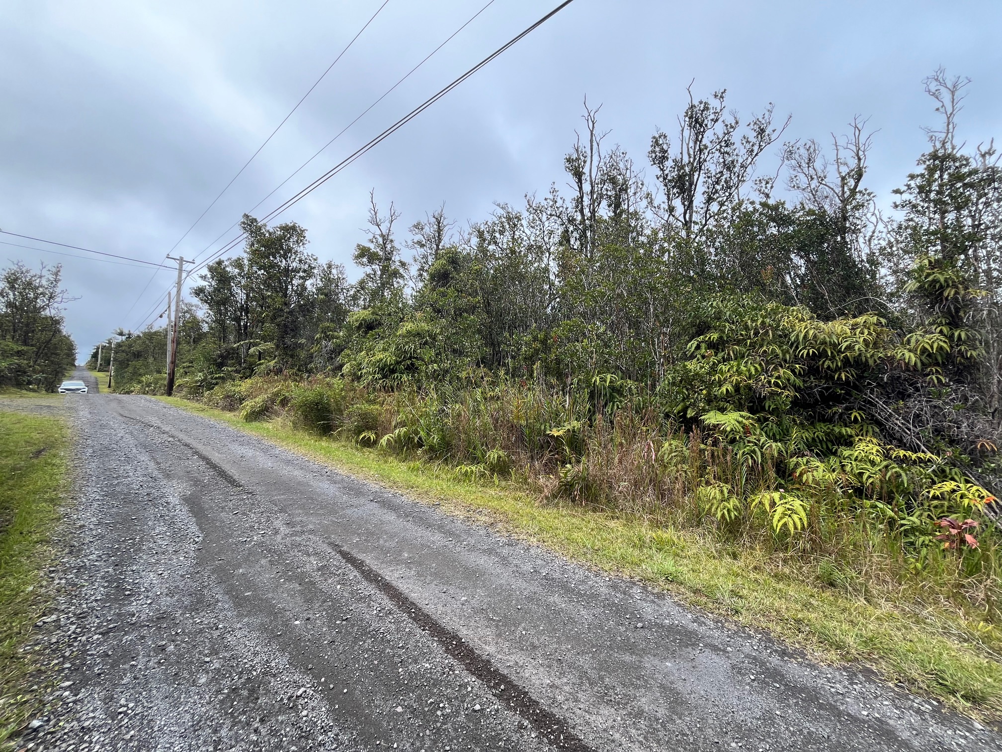 40 Kokokahi Road Mountain View, HI 96771 - Photo 3 of 6 Gallery Image 3