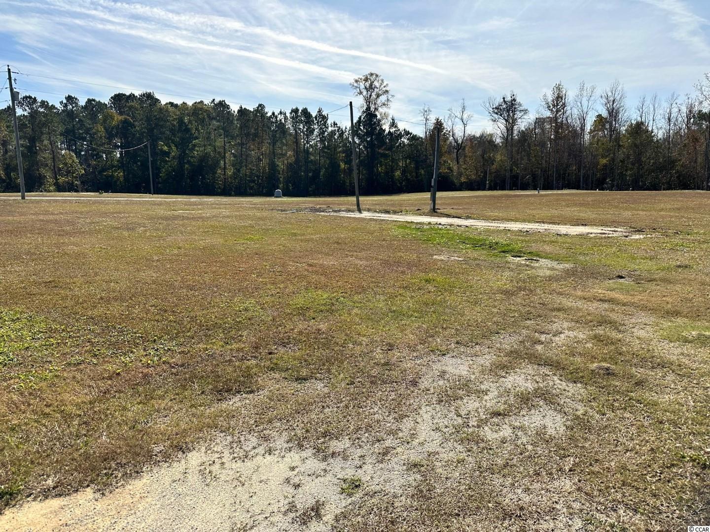 Lot 7 Mack Road Conway, SC 29526 - Photo 4 of 6 Gallery Image 4