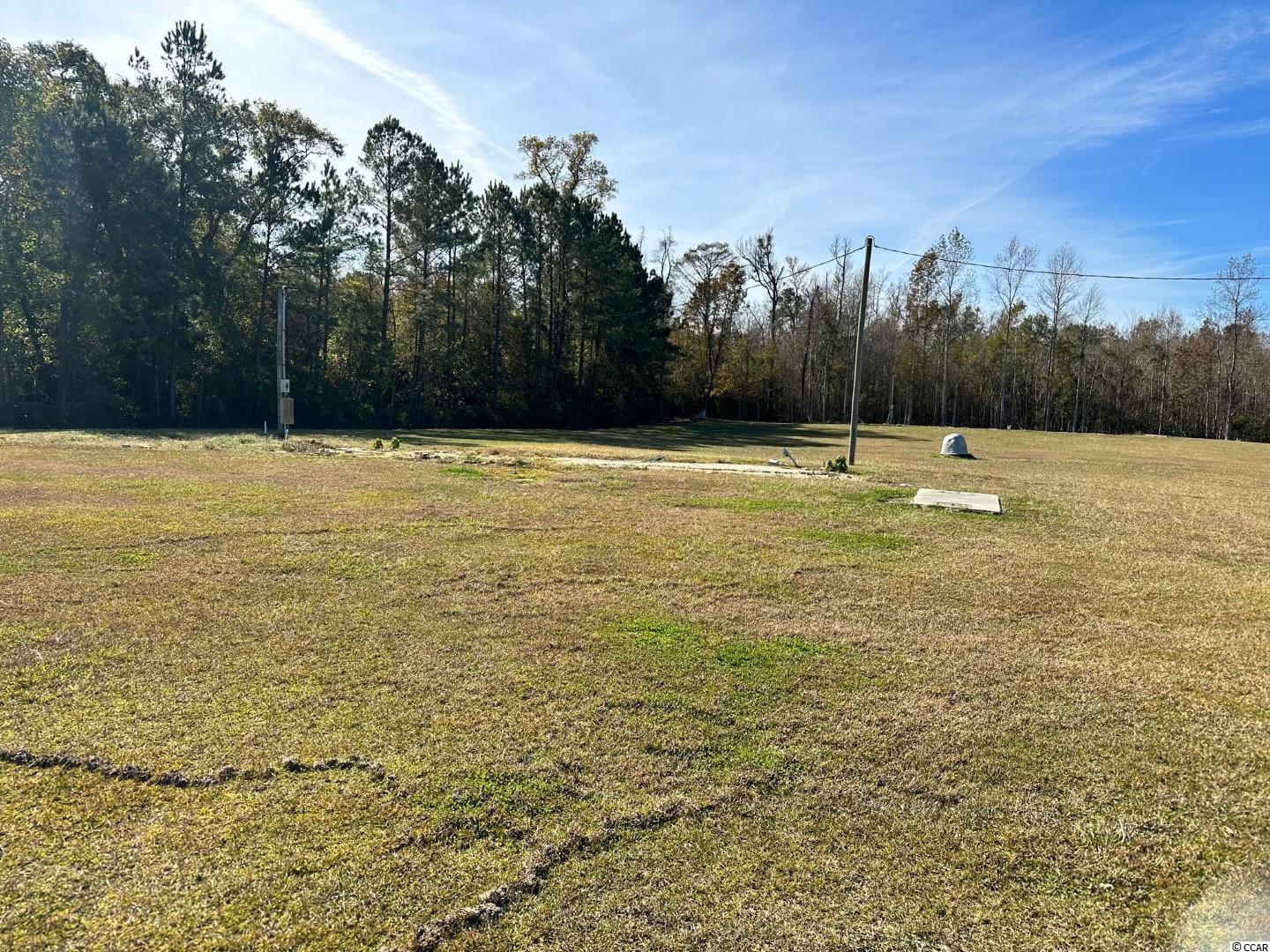 Lot 7 Mack Road Conway, SC 29526 - Photo 5 of 6 Gallery Image 5