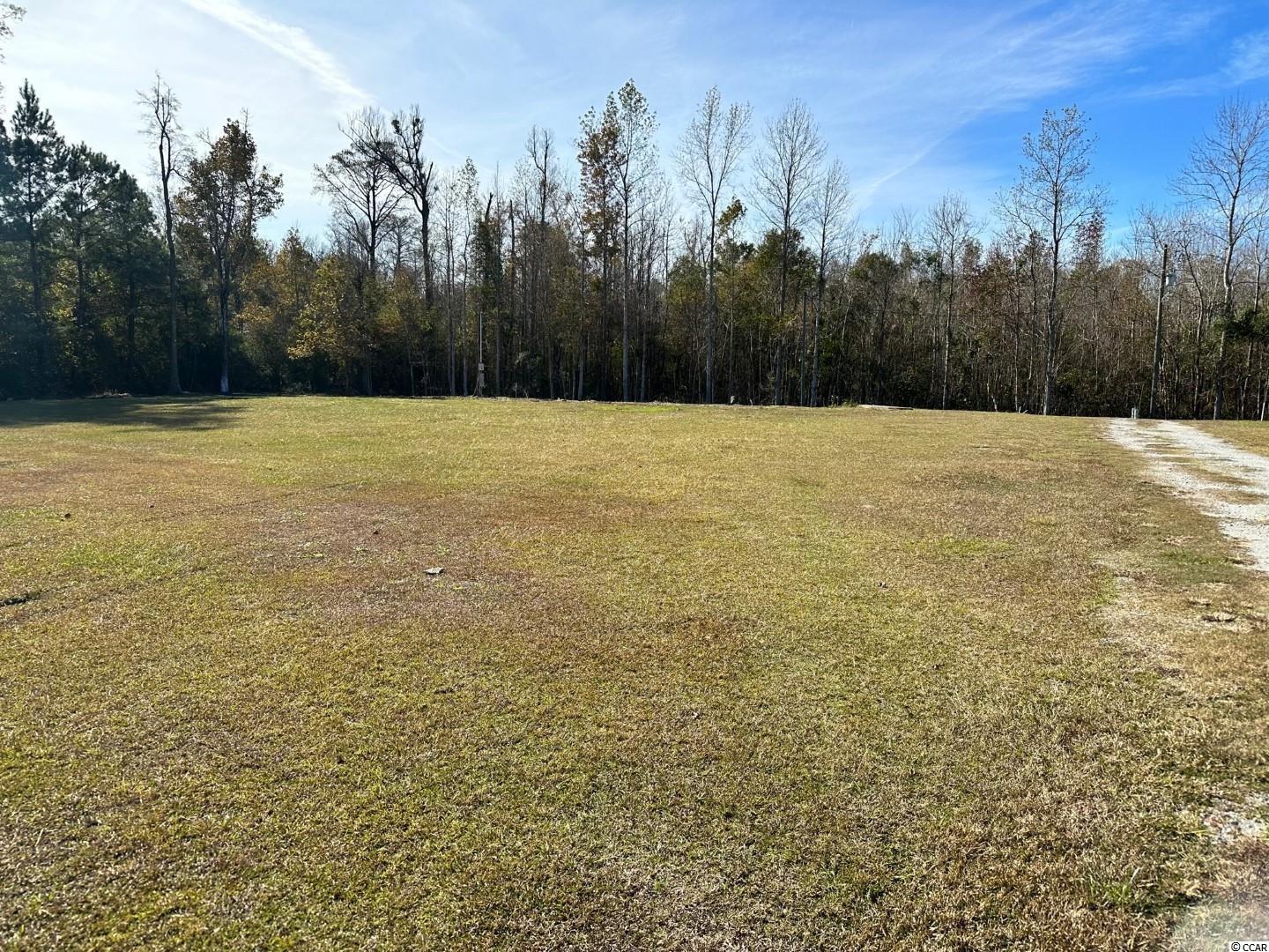 Lot 7 Mack Road Conway, SC 29526 - Photo 6 of 6 Gallery Image 6