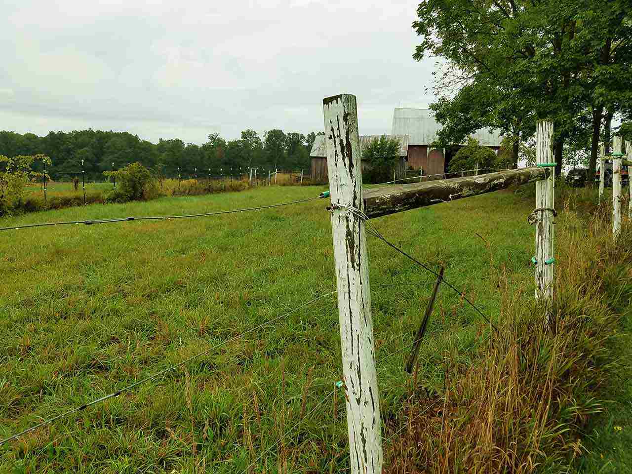 3310 East Shaughniss Road Angola, IN 46703 - Photo 7 of 29 Gallery Image 7