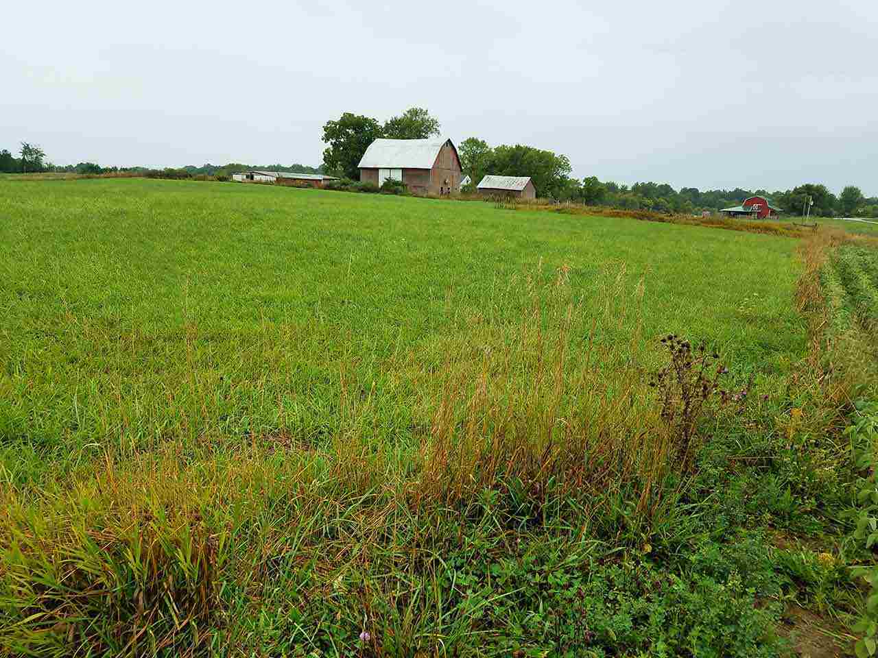 3310 East Shaughniss Road Angola, IN 46703 - Photo 8 of 29 Gallery Image 8