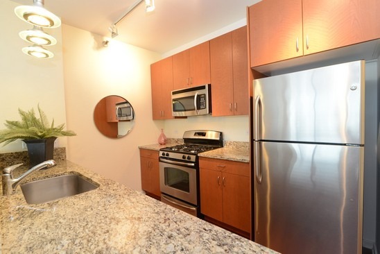 125 South Green Street, Unit 809A Chicago, IL 60607 - Photo 7 of 10 a kitchen with stainless steel appliances granite countertop a refrigerator a stove and a sink with wooden floor