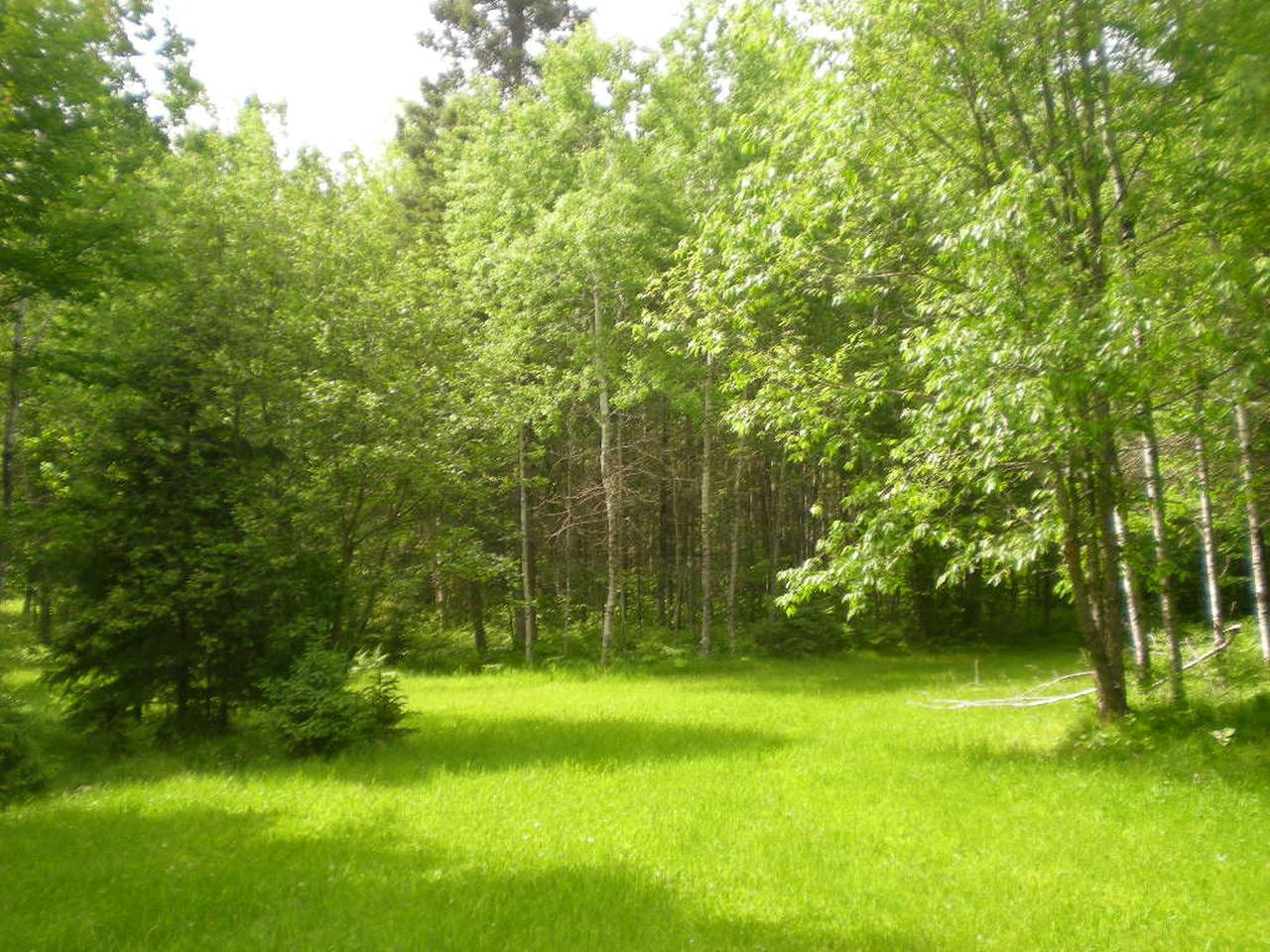 Near Newald Tower Road Long Lake, WI 54542 - Photo 13 of 16 Gallery Image 13