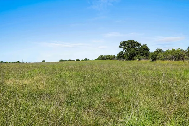 a view of a field with an ocean