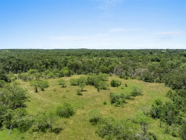 a view of a field of grass and trees