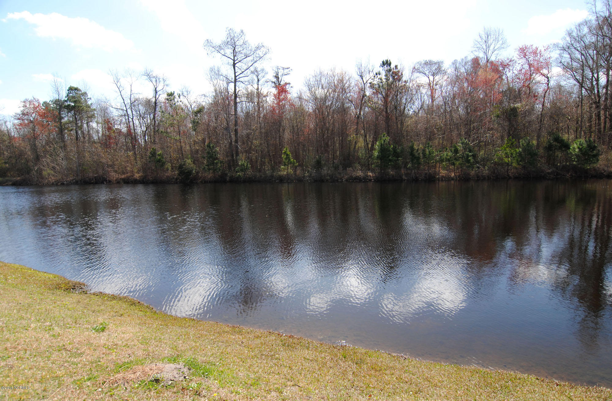 1564 Stones Edge Loop Road Wilmington, NC 28405 - Photo 46 of 49 Park Pond