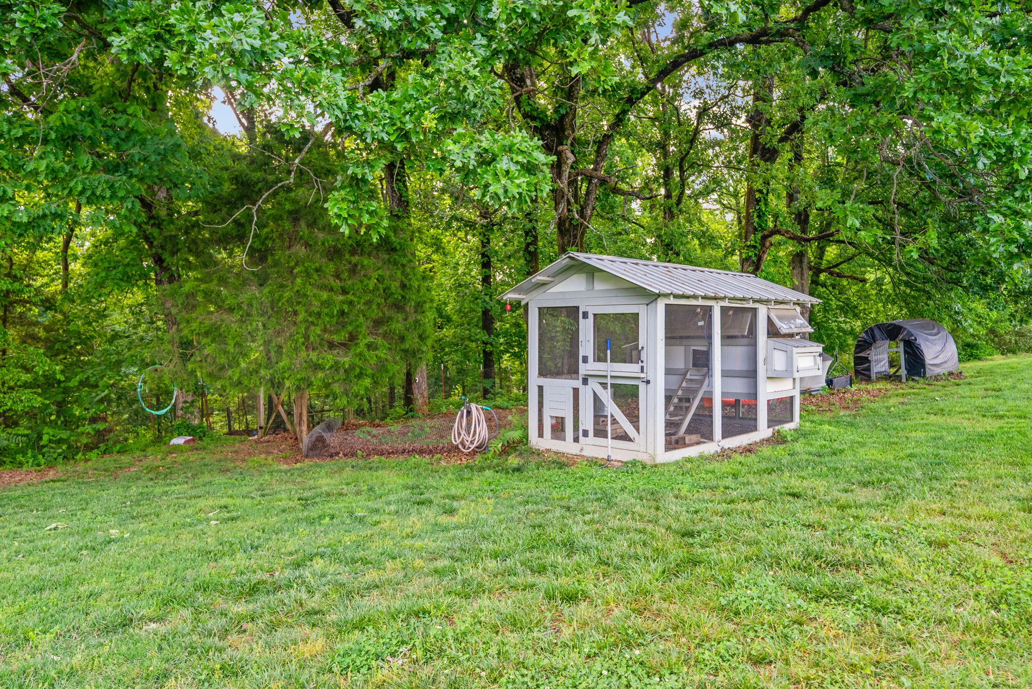 317 Alonzo Place Cunningham, TN 37052 - Photo 4 of 55