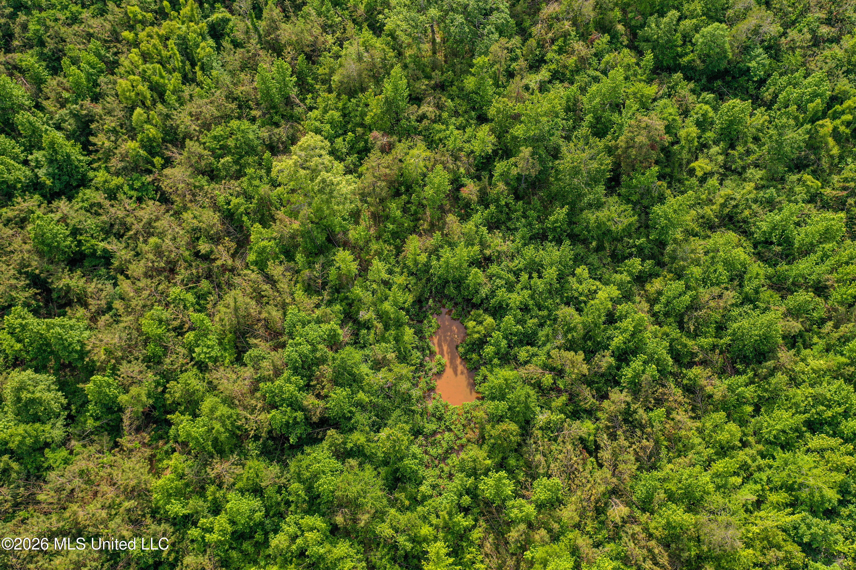 816 County Road Blue Mountain, MS 38610 - Photo 14 of 21 DJI_0748