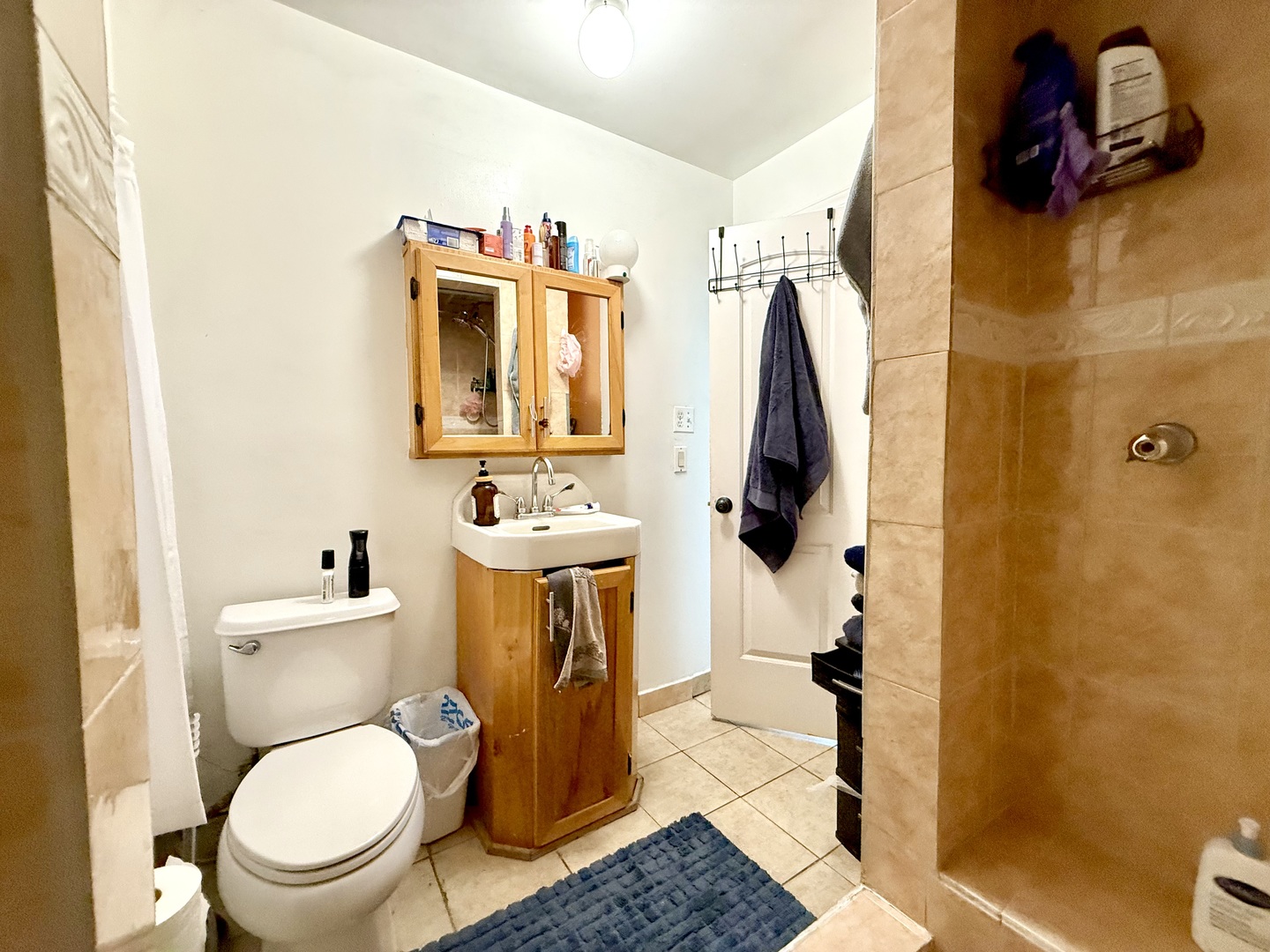 2012 West 21st Place Chicago, IL 60608 - Photo 15 of 49