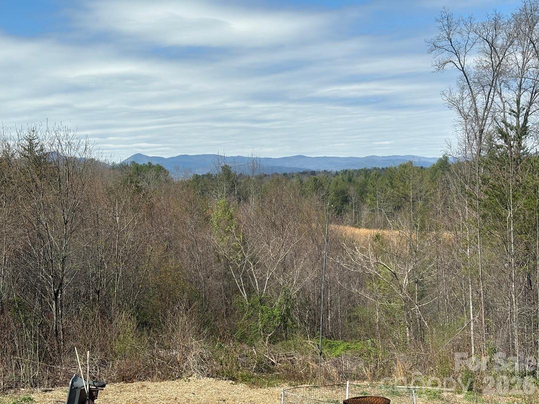 1735 Roy Caldwell Street Morganton, NC 28655 - Photo 17 of 18