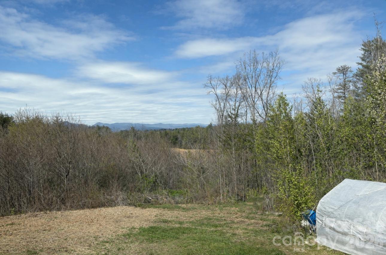 1735 Roy Caldwell Street Morganton, NC 28655 - Photo 3 of 18