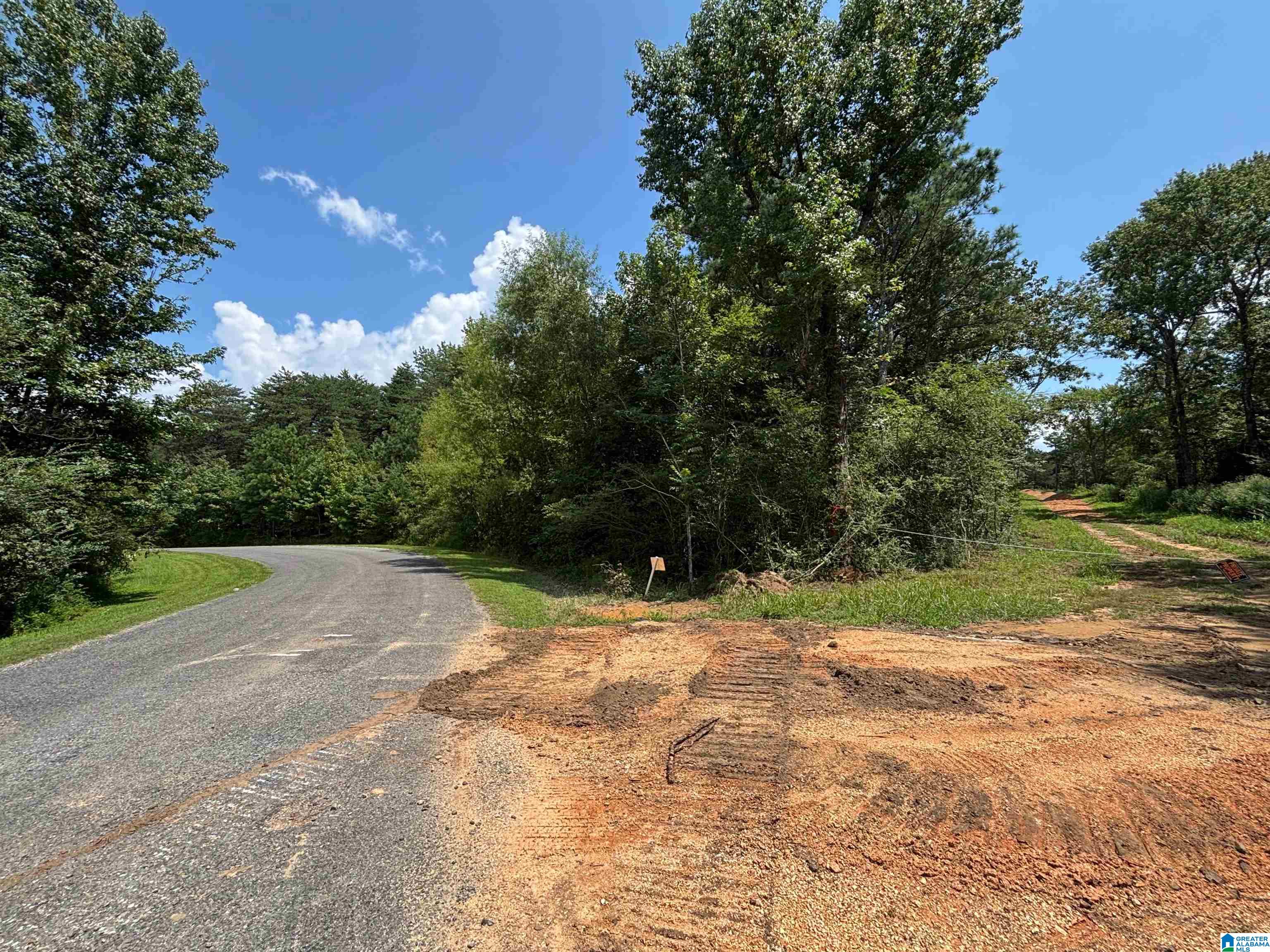 0 Cliff Springs Road, Unit 7 46 ACRES Gallant, AL 35972 - Photo 1 of 11