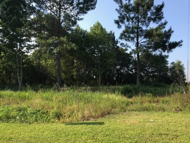 South Pine Drive Ragley, LA 70657 - Photo 1 of 2