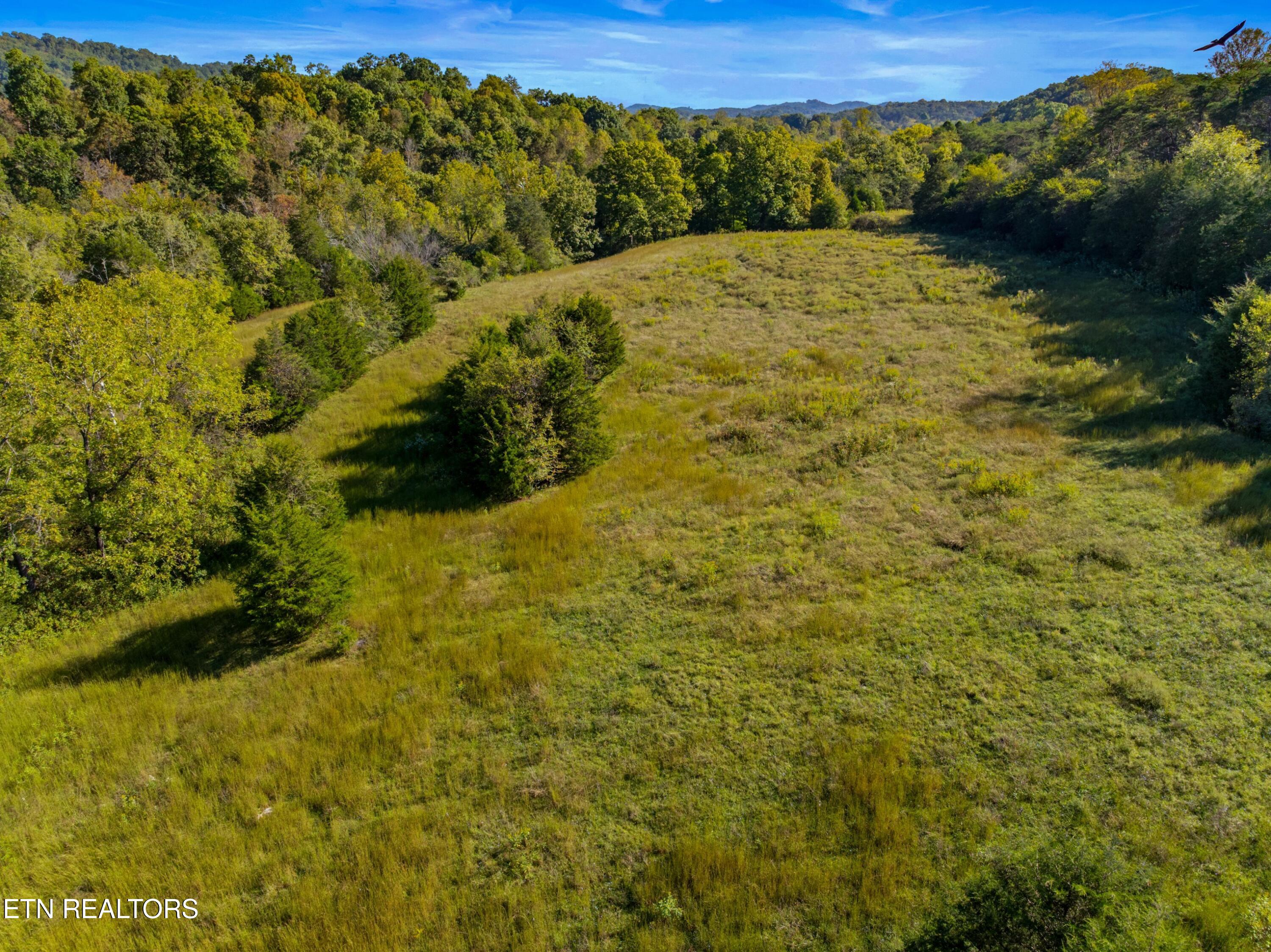 792 R H Ellis Road Dandridge, TN 37725 - Photo 11 of 25 011-792RHEllisRoad-Dandridge