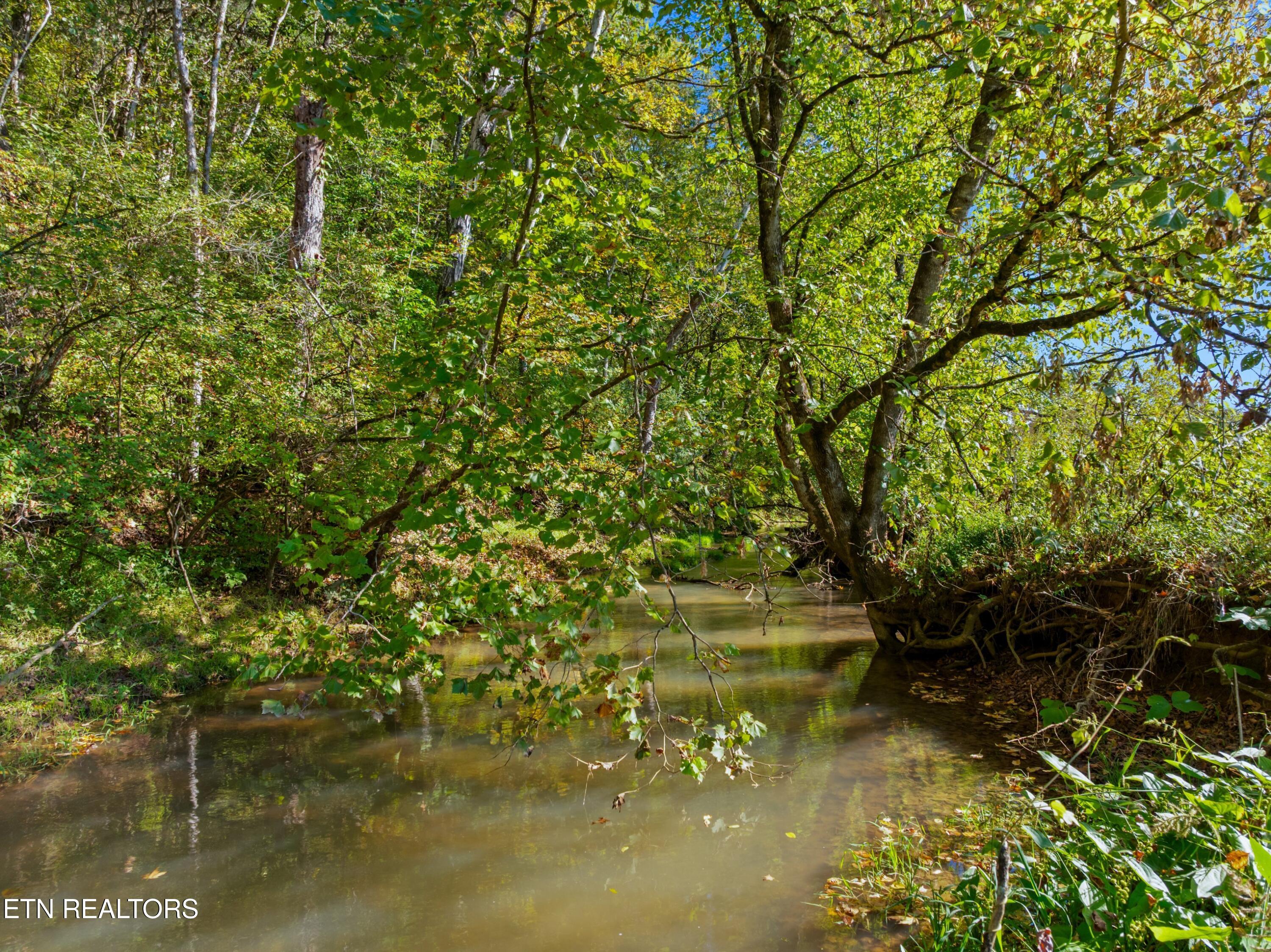 792 R H Ellis Road Dandridge, TN 37725 - Photo 17 of 25 017-792RHEllisRoad-Dandridge