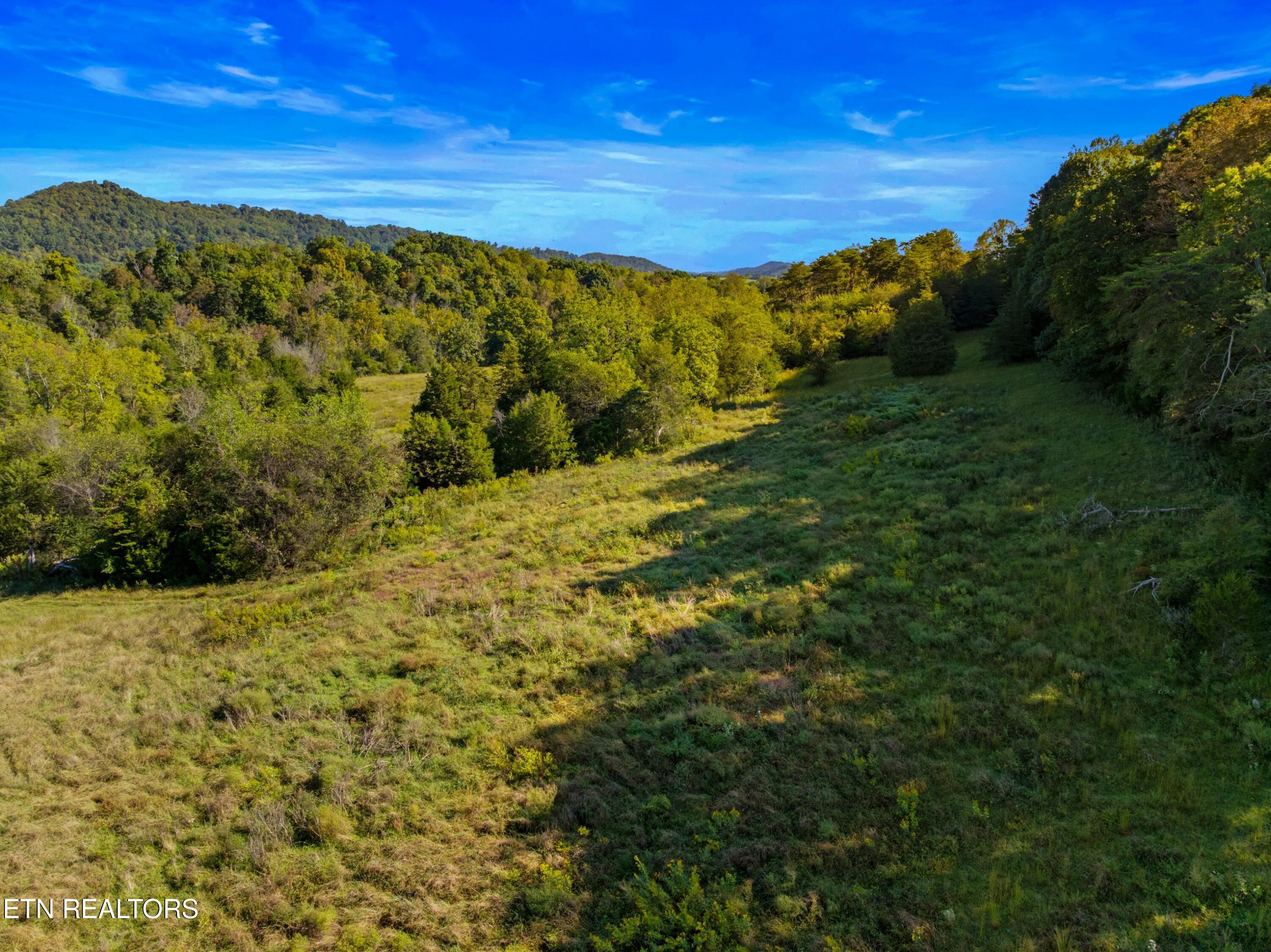 792 R H Ellis Road Dandridge, TN 37725 - Photo 18 of 25 018-792RHEllisRoad-Dandridge-