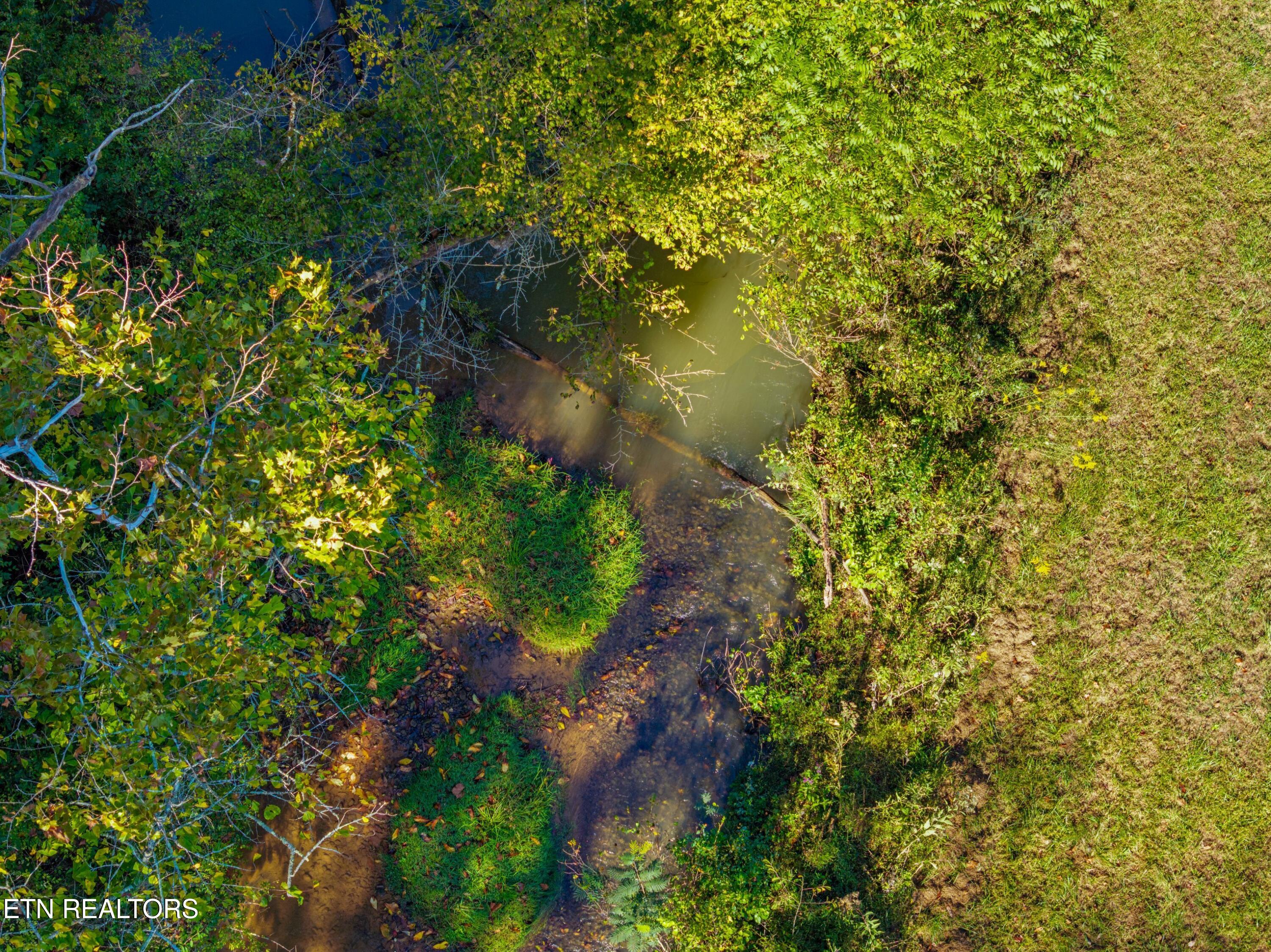 792 R H Ellis Road Dandridge, TN 37725 - Photo 5 of 25 005-792RHEllisRoad-Dandridge