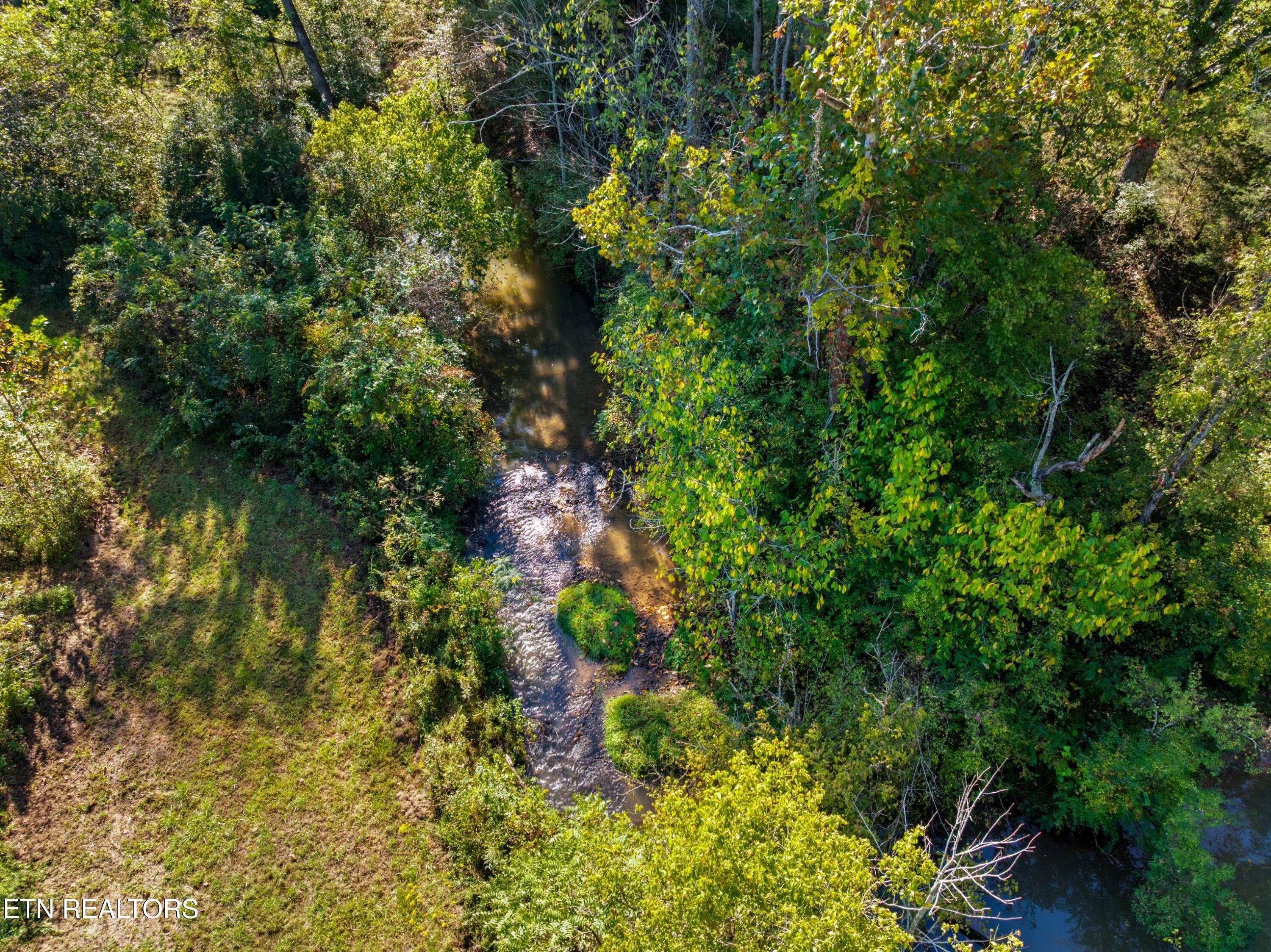 792 R H Ellis Road Dandridge, TN 37725 - Photo 6 of 25 006-792RHEllisRoad-Dandridge