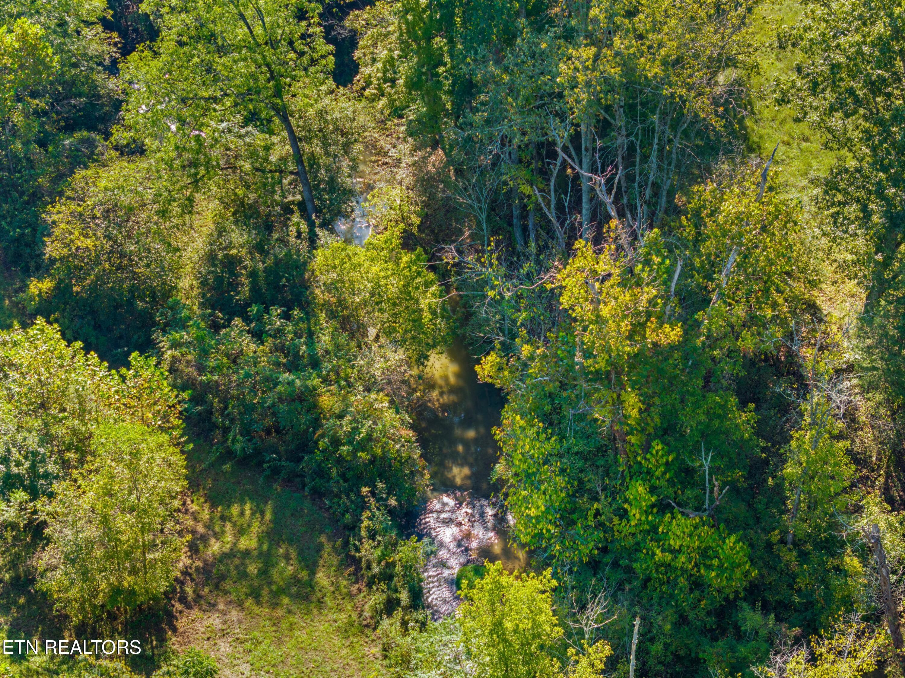 792 R H Ellis Road Dandridge, TN 37725 - Photo 7 of 25 007-792RHEllisRoad-Dandridge