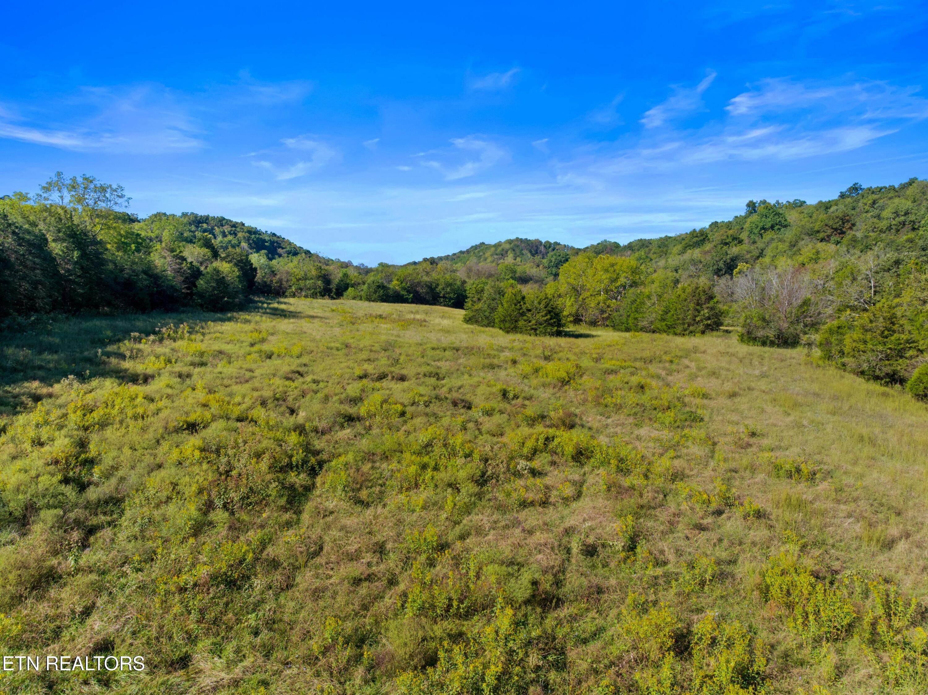 792 R H Ellis Road Dandridge, TN 37725 - Photo 8 of 25 008-792RHEllisRoad-Dandridge
