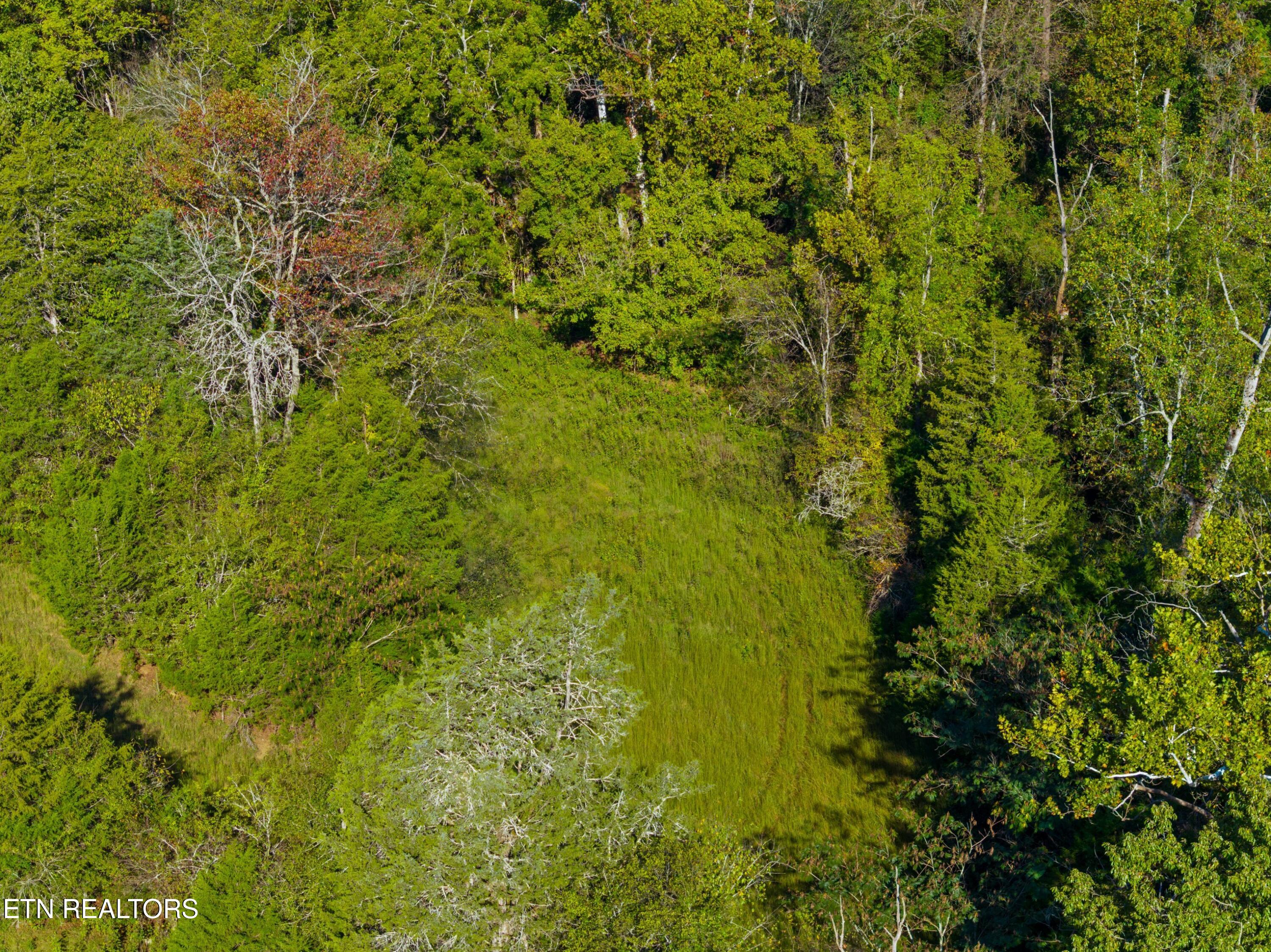 792 R H Ellis Road Dandridge, TN 37725 - Photo 9 of 25 009-792RHEllisRoad-Dandridge