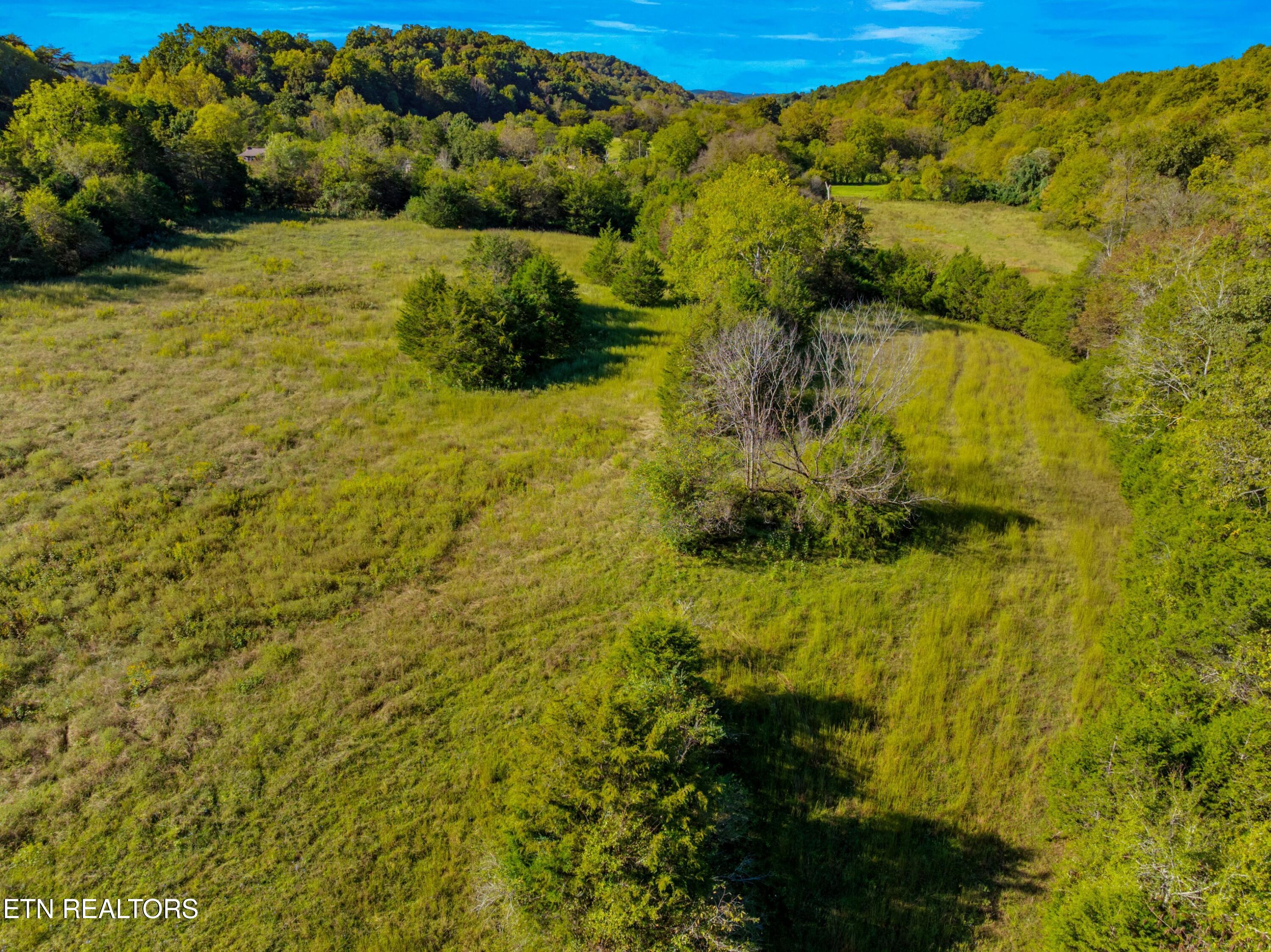 792 R H Ellis Road Dandridge, TN 37725 - Photo 10 of 25 010-792RHEllisRoad-Dandridge