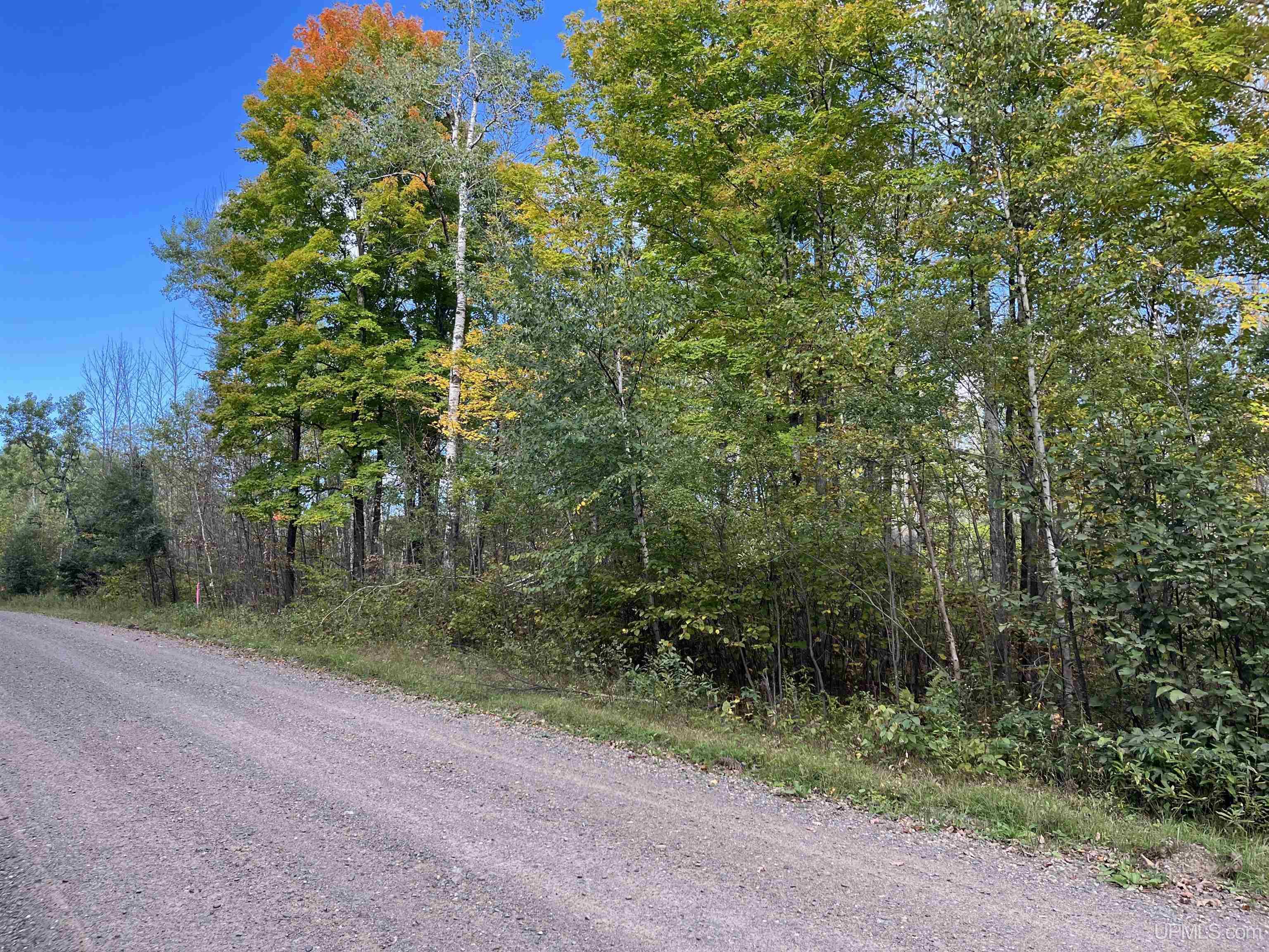 Tbd Settlement Road Long Lake, WI 54542 - Photo 6 of 9 Gallery Image 6