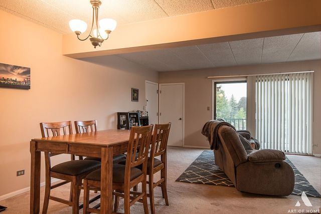 5742 106th Street, Unit 2A Chicago Ridge, IL 60415 - Photo 4 of 19