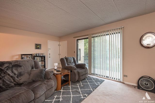 5742 106th Street, Unit 2A Chicago Ridge, IL 60415 - Photo 8 of 19