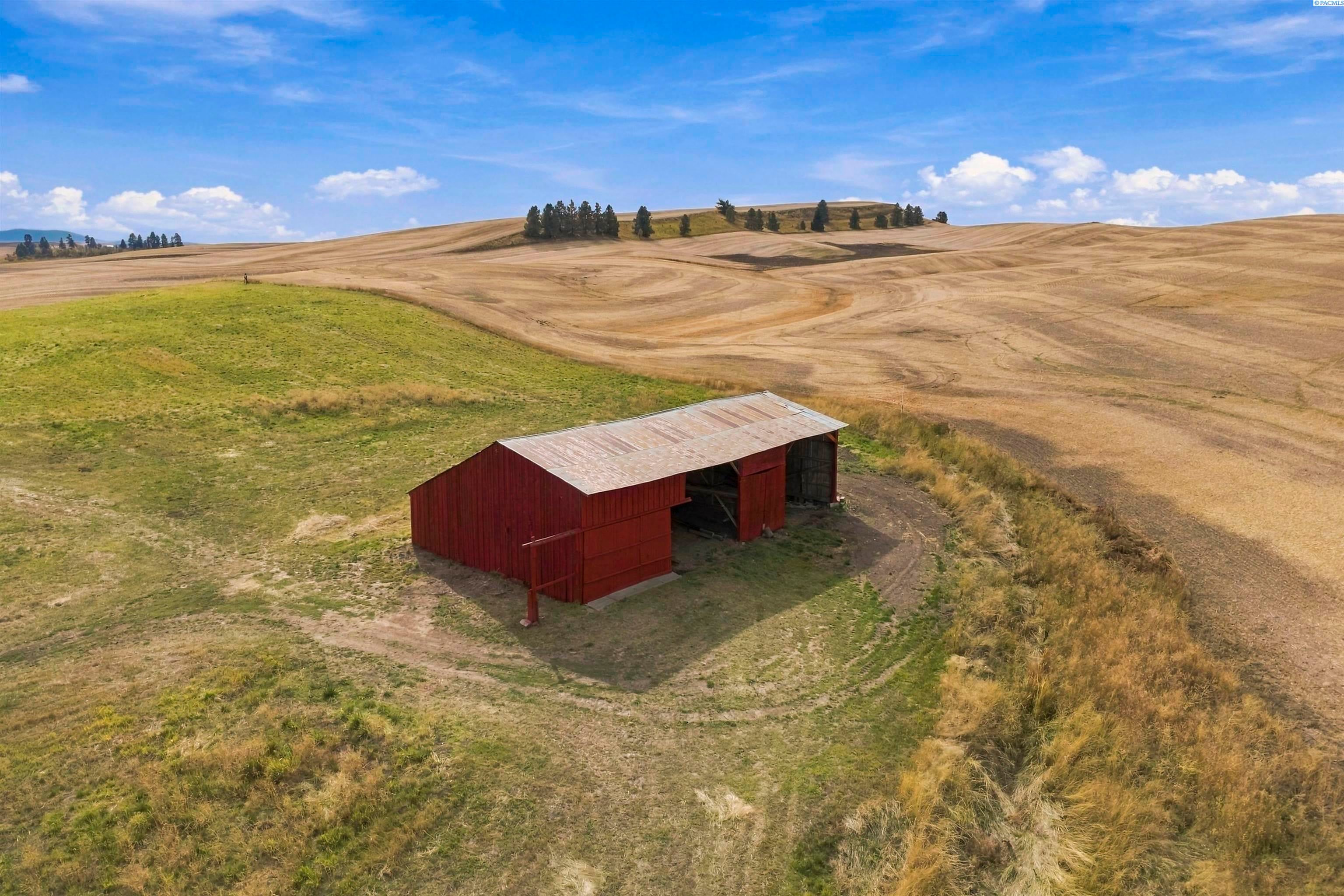 2031 Walter Siding Road Garfield, WA 99130 - Photo 3 of 44 Gallery Image 3