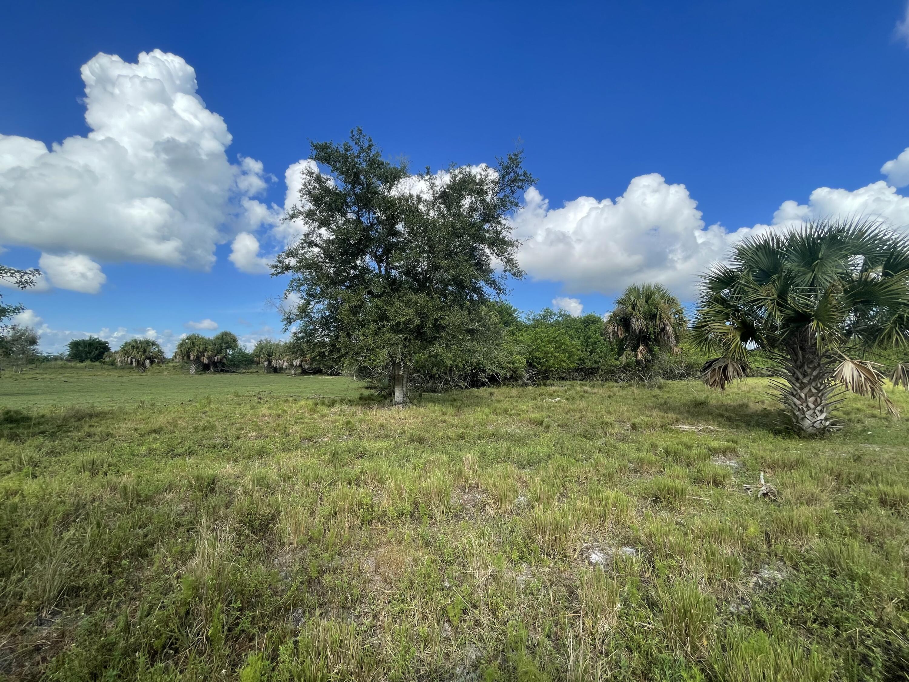 Tbd Antoinette Road Loxahatchee, FL 33470 - Photo 16 of 25 143DD36C-AFF1-415C-BE5D-0BC04C27D0FE