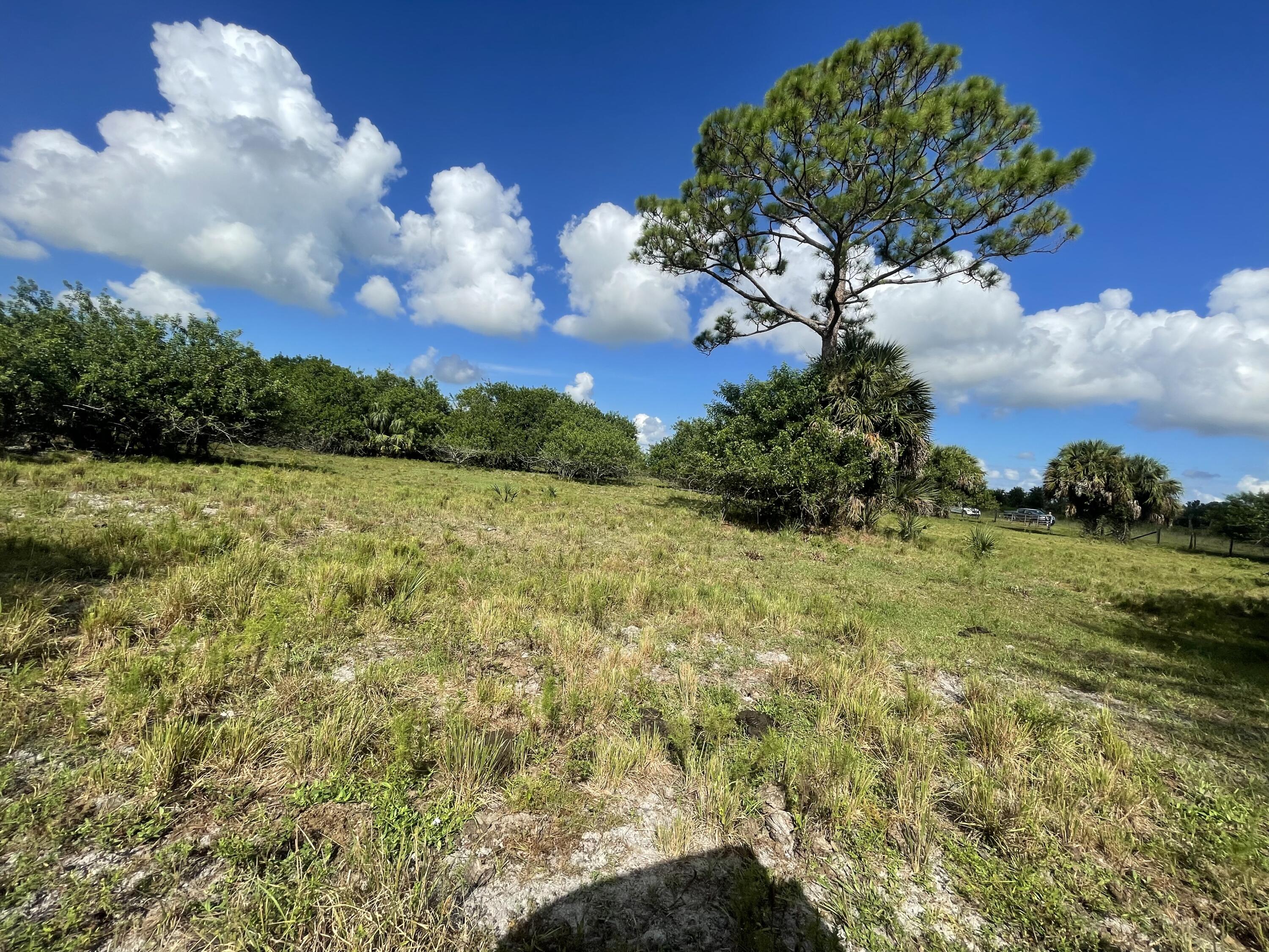 Tbd Antoinette Road Loxahatchee, FL 33470 - Photo 19 of 25 EEB9245F-18E7-46A7-8A8D-E1B9208AC5DA